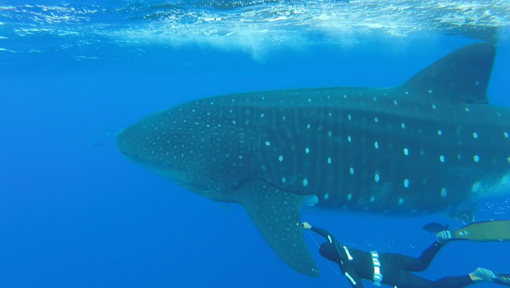 3795bc2a-98d4-4322-8f91-a6fdf6425769