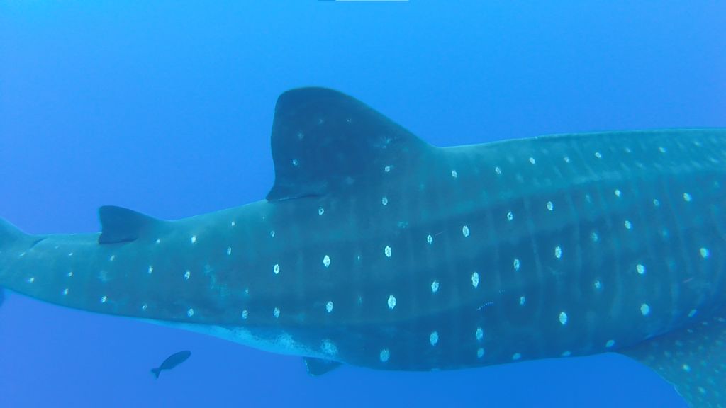 3795bc2a-98d4-4322-8f91-a6fdf6425769