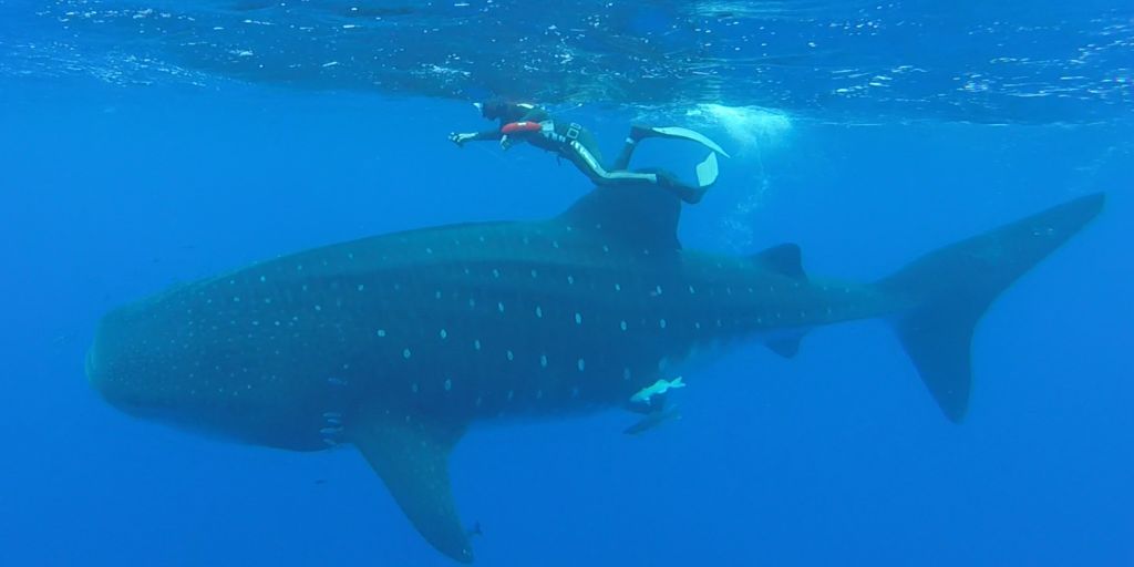 3795bc2a-98d4-4322-8f91-a6fdf6425769