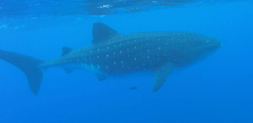 3795bc2a-98d4-4322-8f91-a6fdf6425769