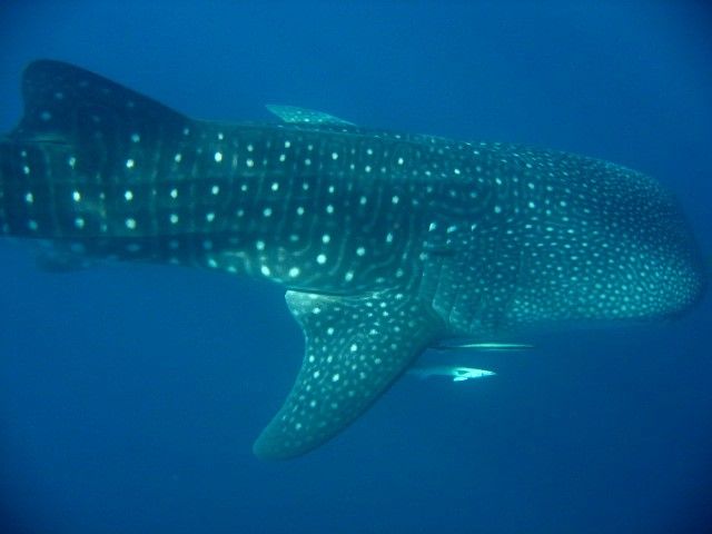 a33cb812-8a46-49bd-a097-0d0e316e4be3