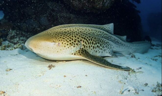 10f70101-0a30-4ab7-8ec4-7e8157847109