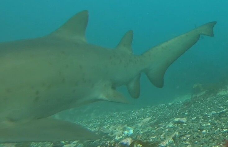 1f59f93b-4f60-46ca-af3f-b14902574ee8