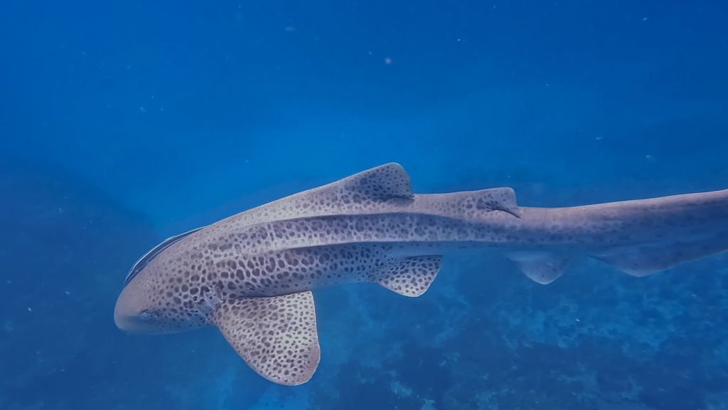 2545438b-3cc1-46a5-b122-d341f8eea9db