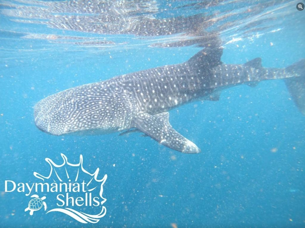 8825e0a2-836e-47c4-a88a-e1a31f75cb38