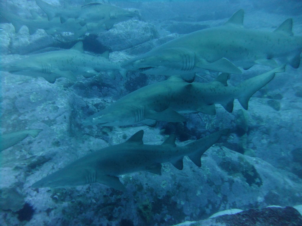 9f4f95d2-048c-4480-acee-1135c7ce2bb1