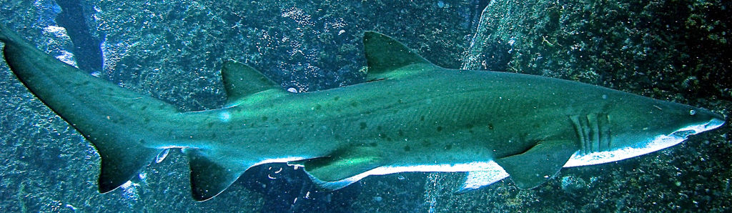 489cbdec-6f5a-4454-8935-b8a9b3338015