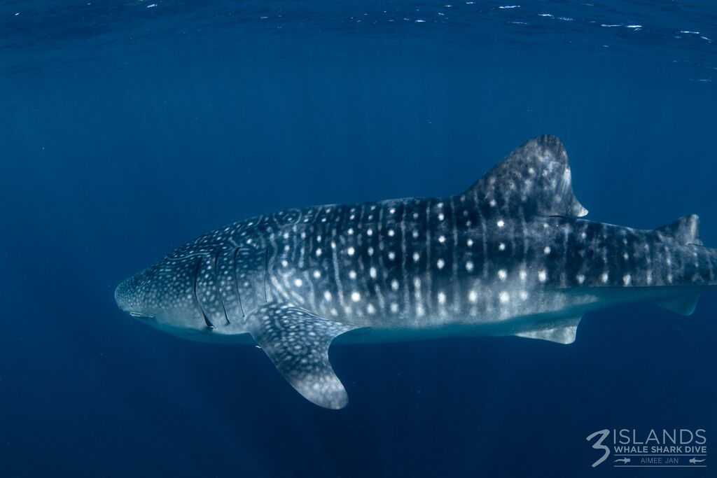 28b0d3c8-a28b-4e80-970e-2b8bf9ddc8c5