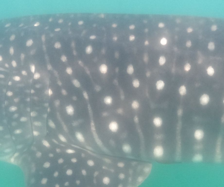 74f0818a-2ff2-4eb6-9899-5effef65965f