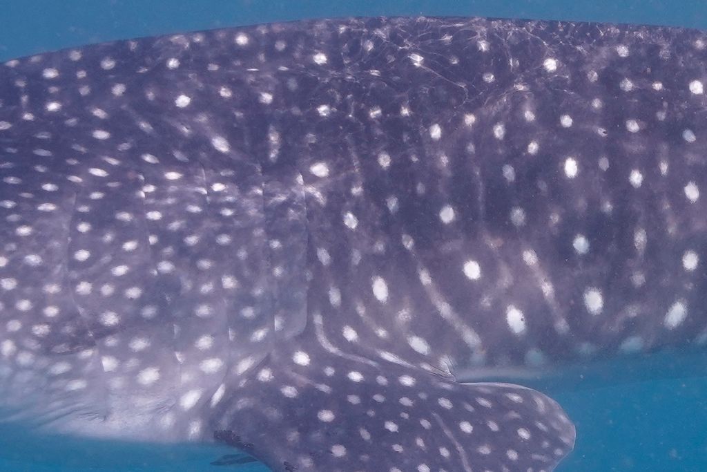 56e1db1c-1e31-4524-8c8f-1f6577bb76bc