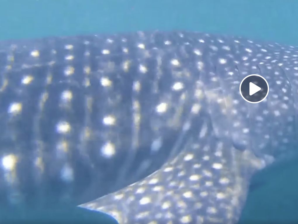 ab0229d3-a5d4-44e9-80ce-f27f9f865f3a