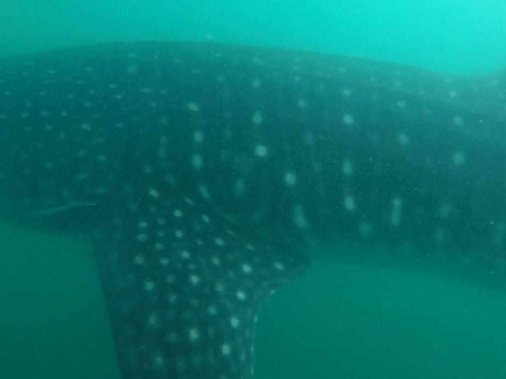 205957ff-fa7c-476a-a4db-c5a86190509b