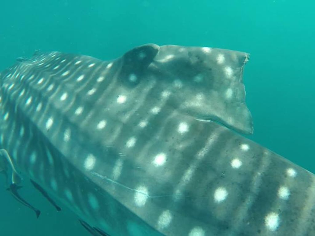 602301ac-5d38-4011-aac3-10ba5319e372