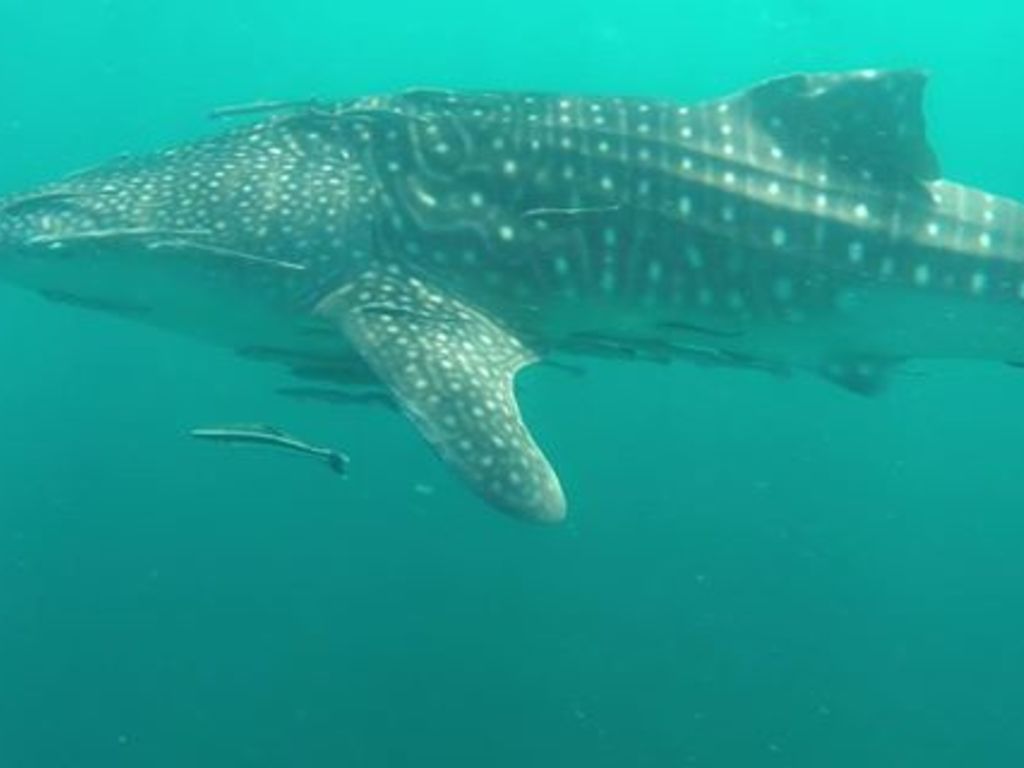 602301ac-5d38-4011-aac3-10ba5319e372