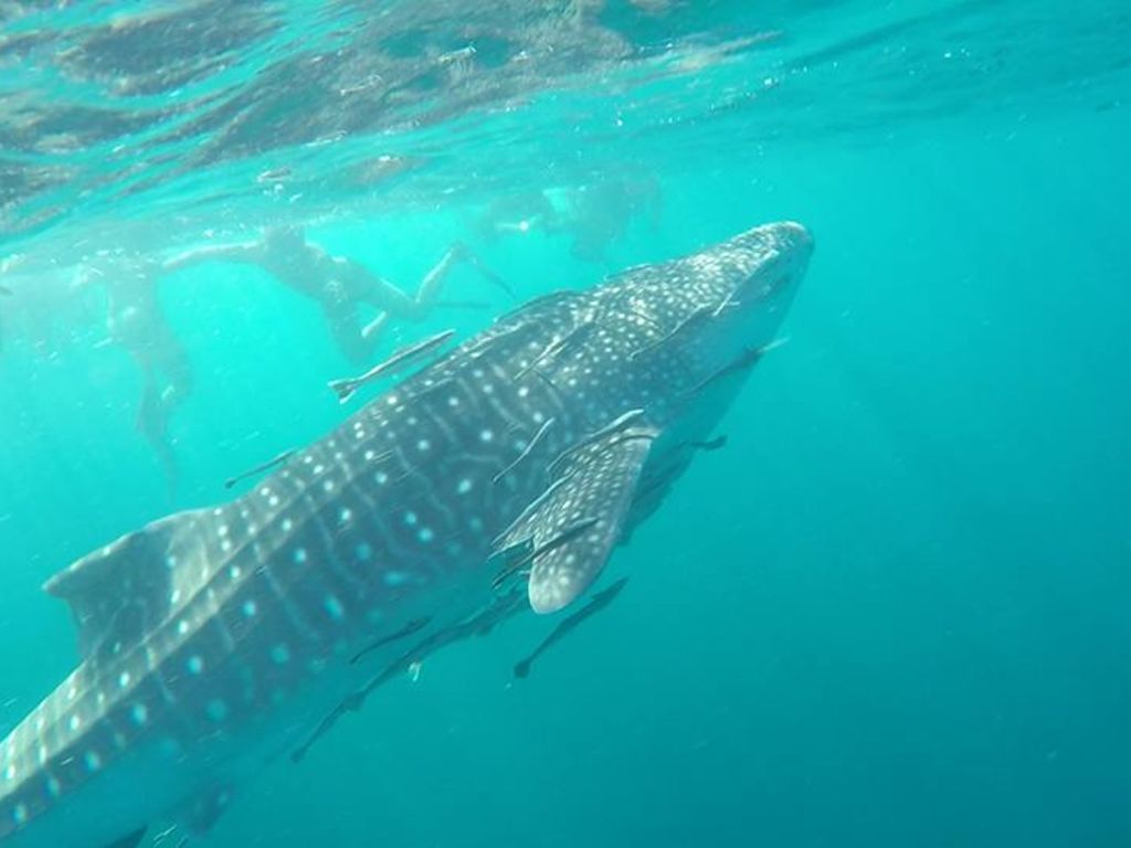 602301ac-5d38-4011-aac3-10ba5319e372