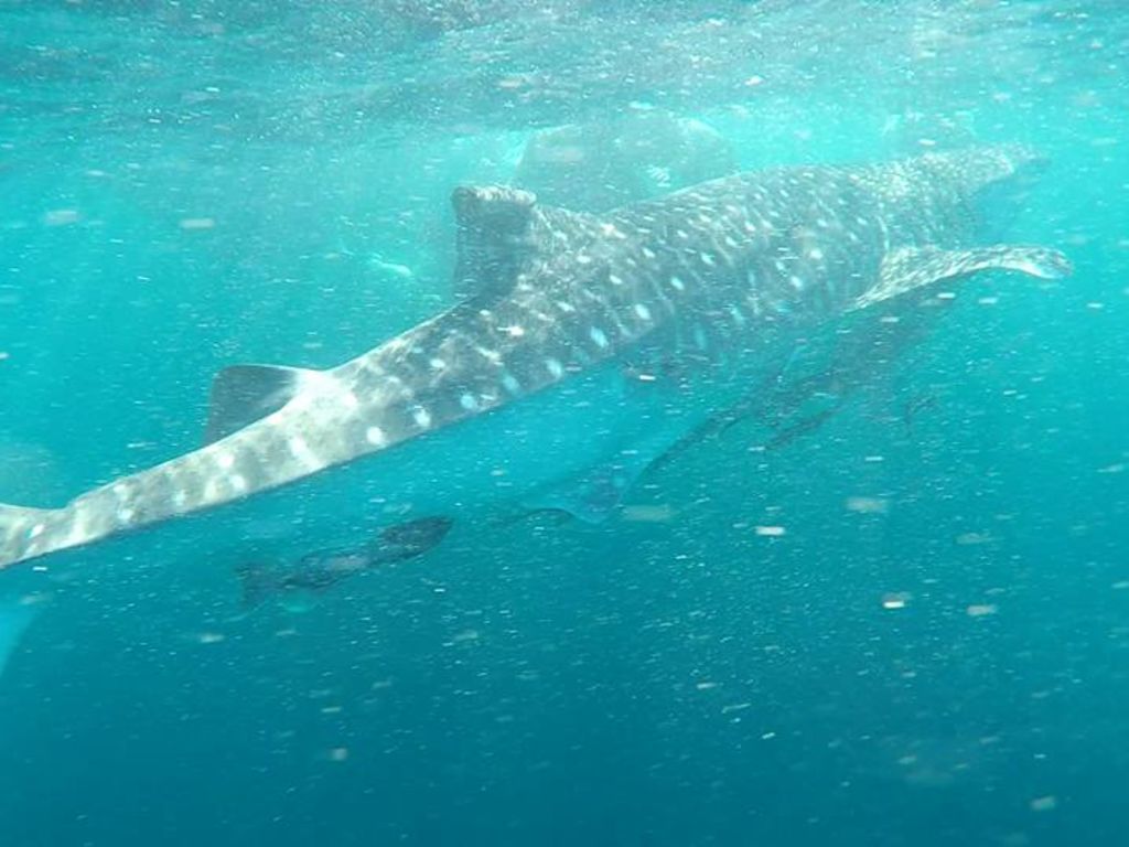 602301ac-5d38-4011-aac3-10ba5319e372