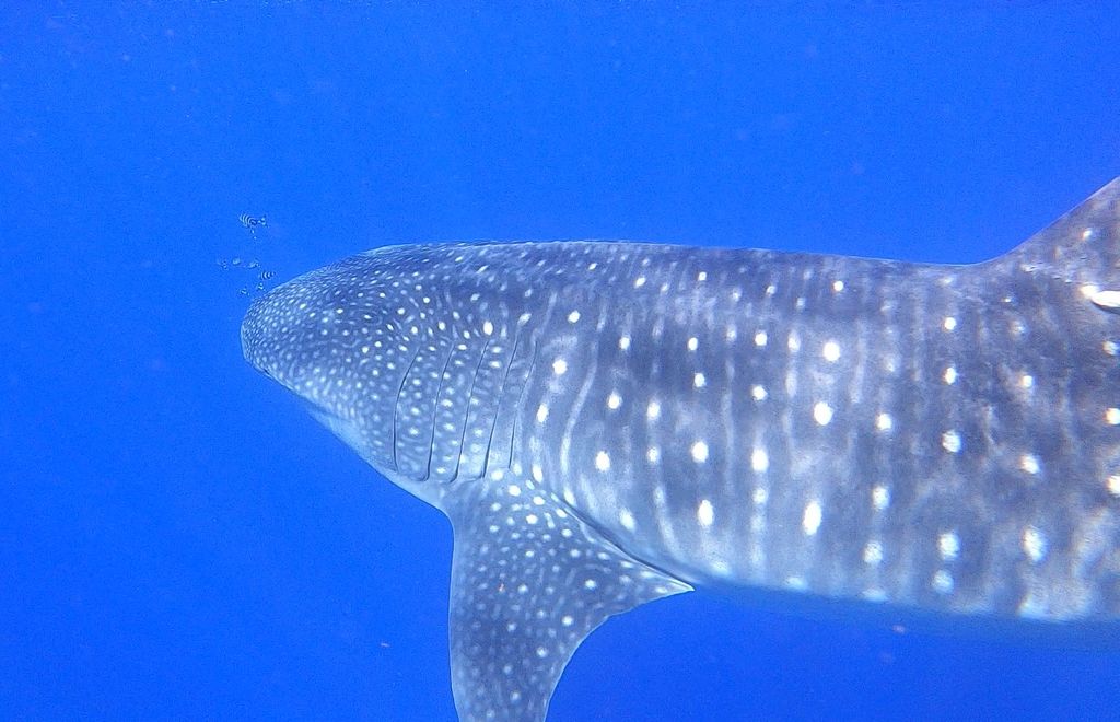 b3b1c619-b931-41c3-9dee-48c09ecb0a61