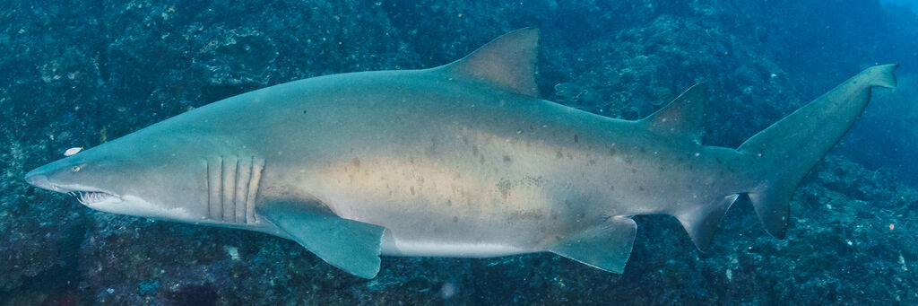 402eba90-2a40-4f7b-b2a4-e53c1b3d538c