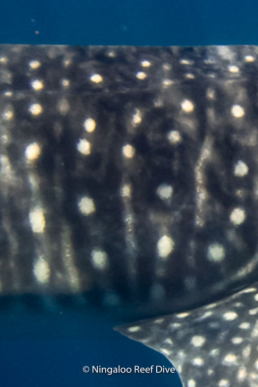 1b53ba66-5957-4b08-bc89-7c8d89948c0e