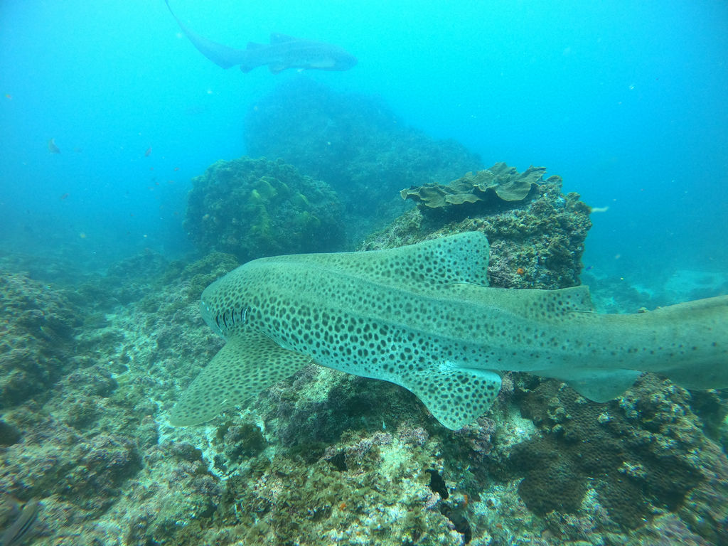 1a5d2942-048d-43f0-b418-12ecf89c44b1