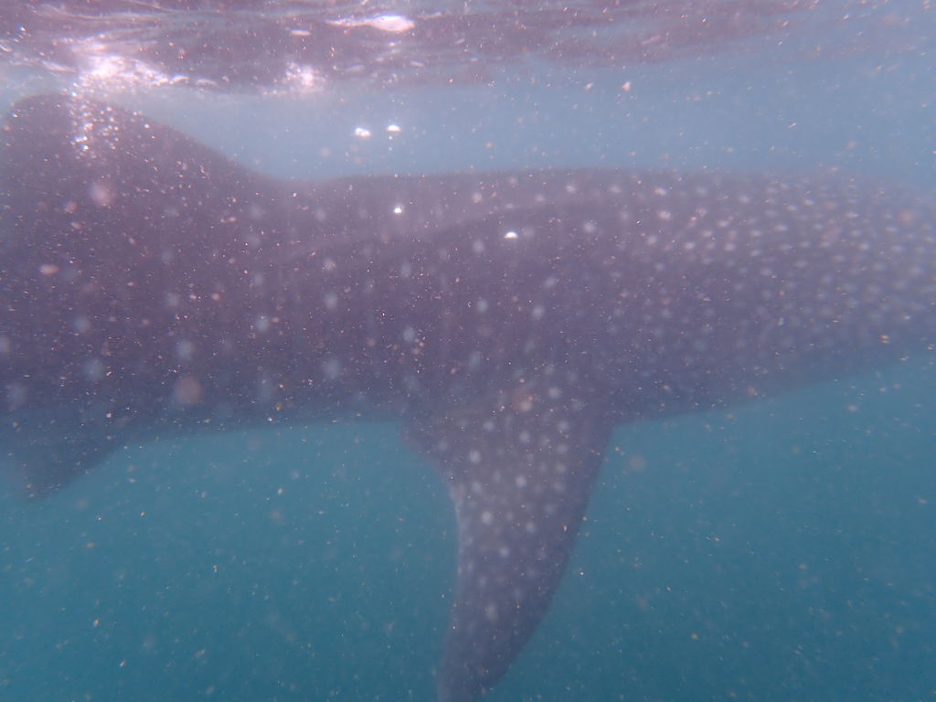 7afc64fd-10cb-4309-9aba-62f47f3aeb54