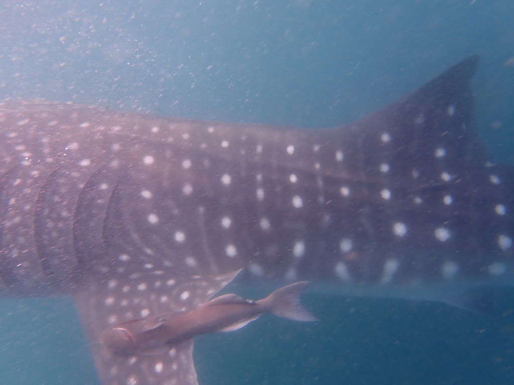 7afc64fd-10cb-4309-9aba-62f47f3aeb54