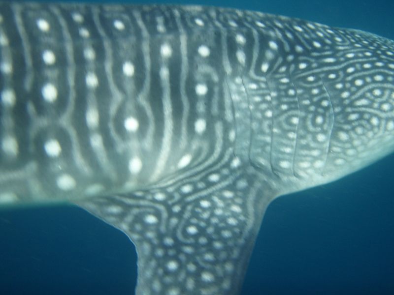 6cf740e3-12f1-4df8-a9df-45e7deeaca3f