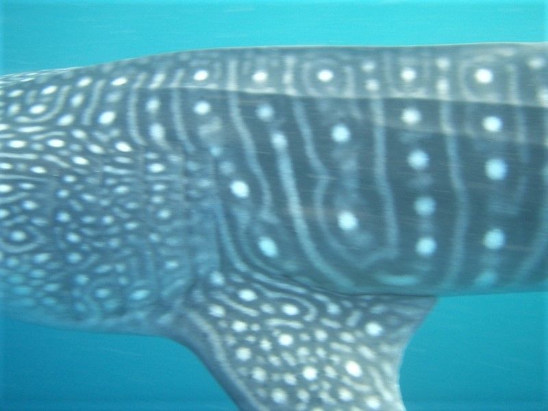 6cf740e3-12f1-4df8-a9df-45e7deeaca3f