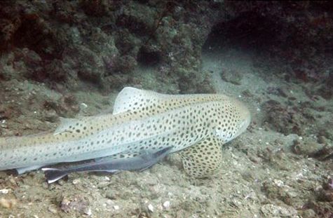 36d00e79-5f73-41d7-811d-5a31a5838484