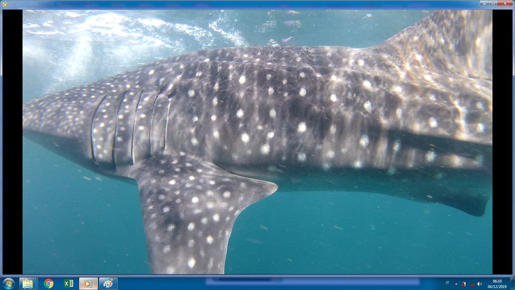 895e5404-6b3c-401d-be05-44148fff2b89