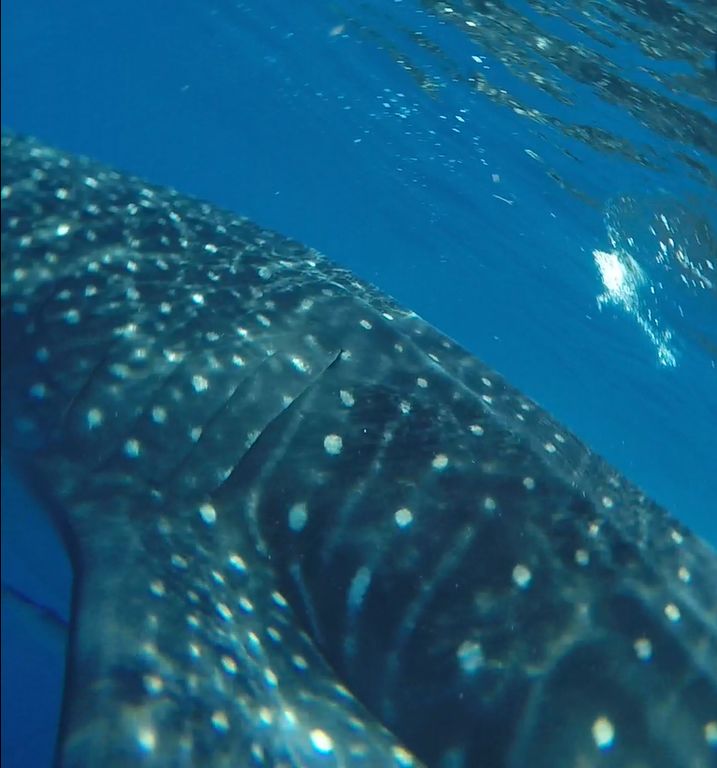 18f8ce7e-cdc1-448a-ac4e-38ecc90441c2