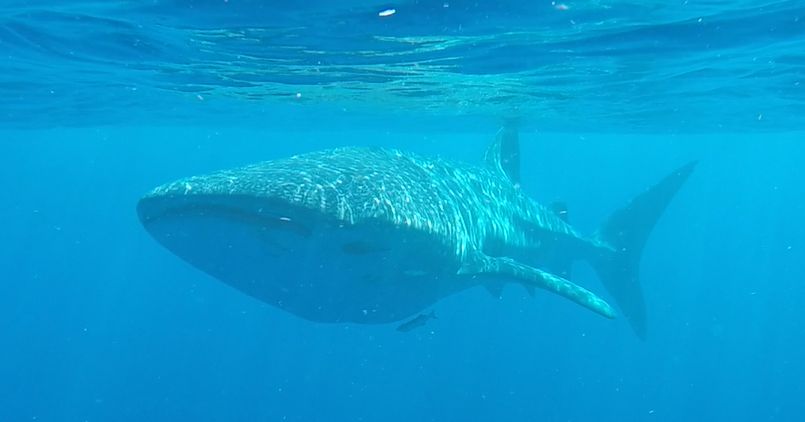 18f8ce7e-cdc1-448a-ac4e-38ecc90441c2