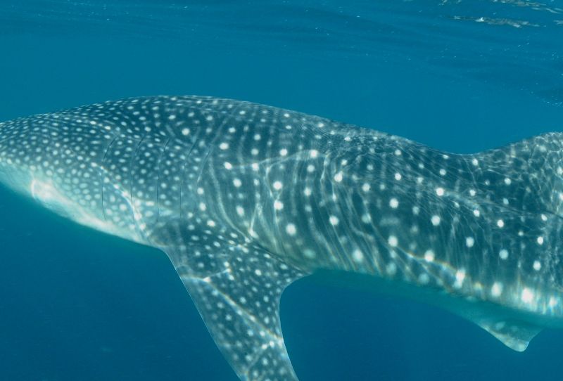 6bbf88da-7537-4a58-84e1-cec1078b064b