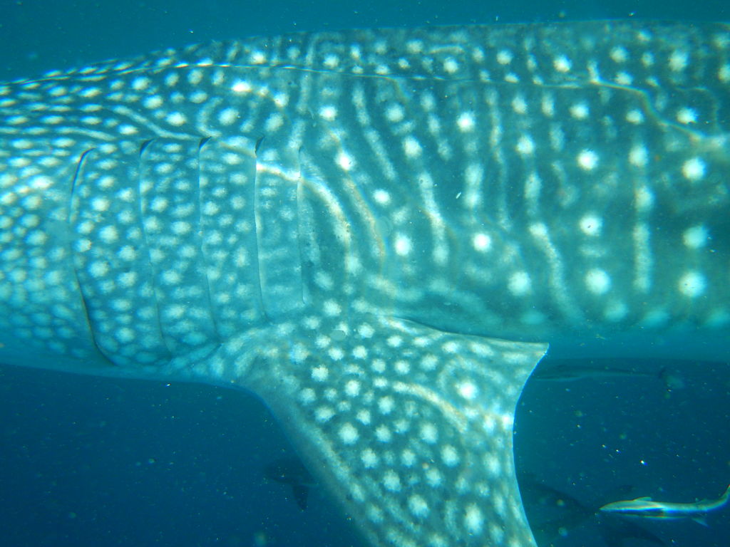 9a2ac1d5-dc61-49d9-95fe-40565d3eb565