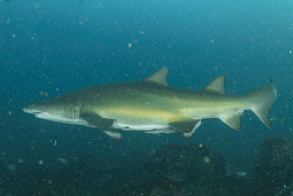 6fc716a3-1daf-481f-b649-a447718c6f3f