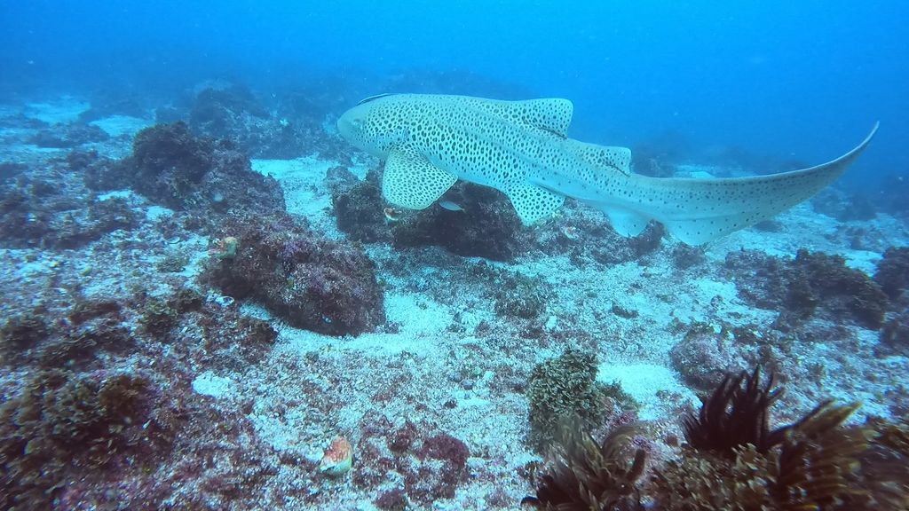 ccb08773-001e-4be7-bd97-a417e4737a33