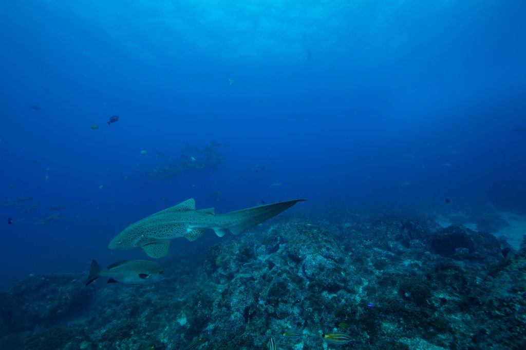 def160d5-53cc-4c7c-95cd-6ca48154bae2