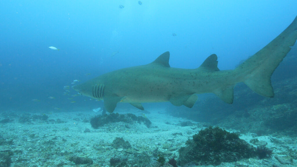 cbaac543-d5b4-4d3d-a85e-c5164655d8a0