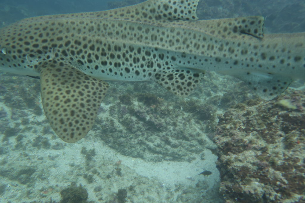 7a52b744-4df5-4e00-8d8f-352f05234c7b