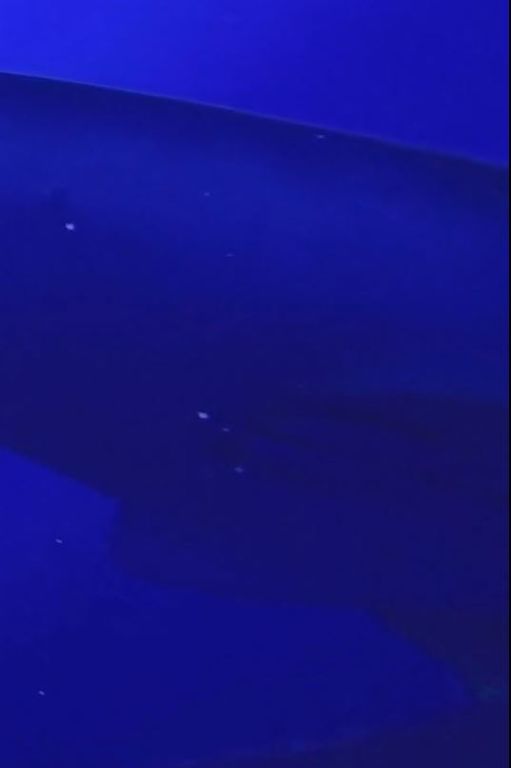 958911bb-87df-4152-8fe6-07bdcf5f0784