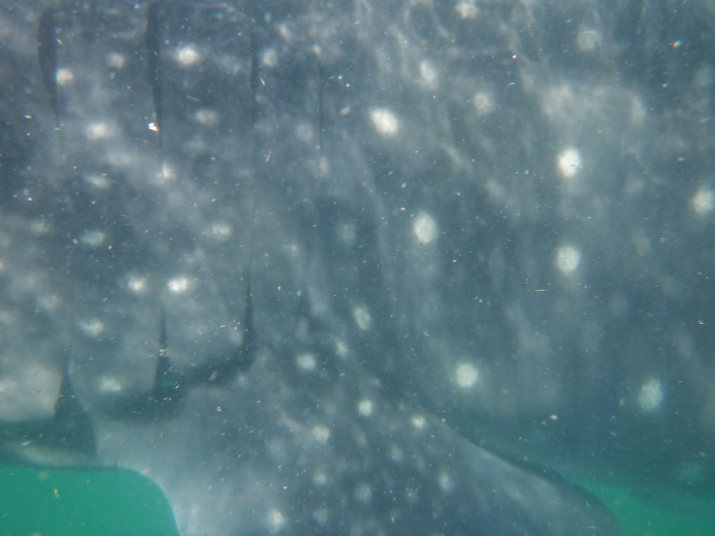 35db3291-0249-4c67-ac45-b8d8fef94223