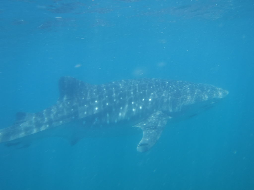 b2d36f71-8bf0-4e6d-89d5-b2f7492599e7