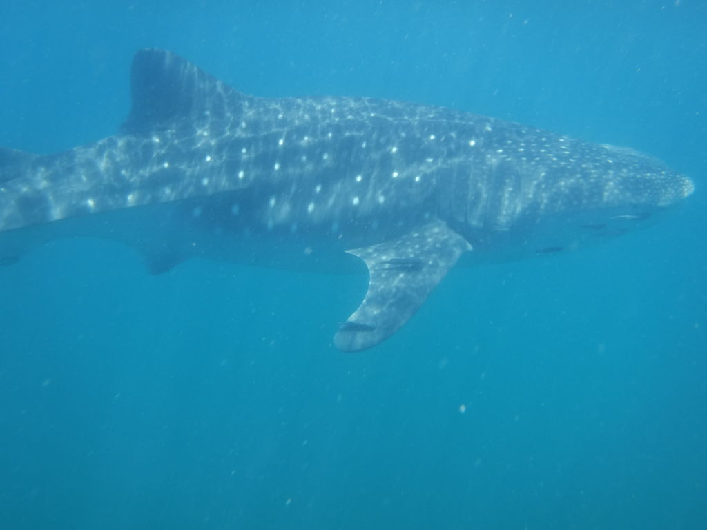 b2d36f71-8bf0-4e6d-89d5-b2f7492599e7