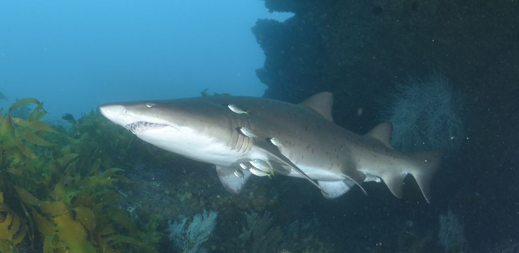 c30cf27d-2321-49ef-9adc-effff7afdc6c