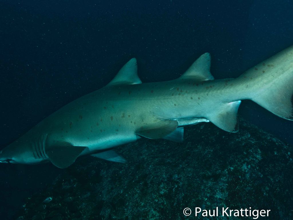 b6f799c8-5a15-4db1-b1de-3829633e6c50