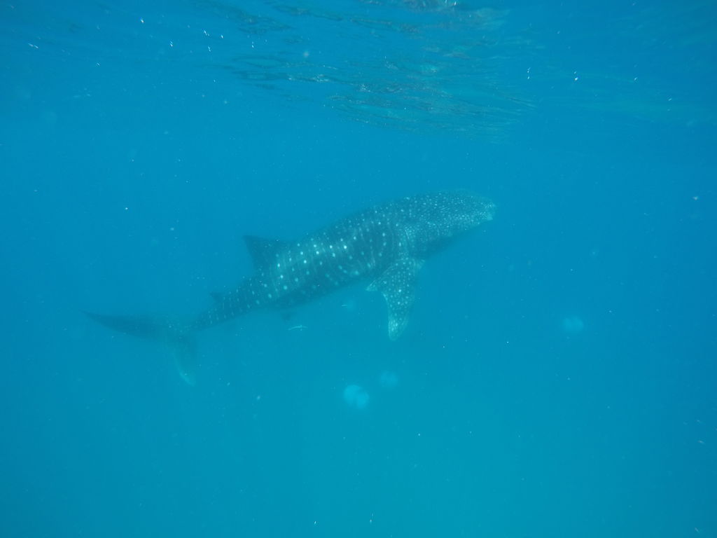 40b9c7d2-edad-48cd-accb-e49b62f7b21e