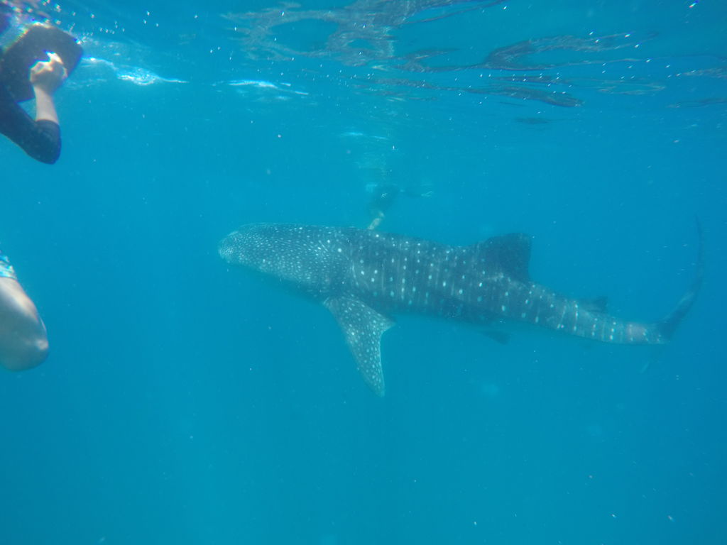 40b9c7d2-edad-48cd-accb-e49b62f7b21e