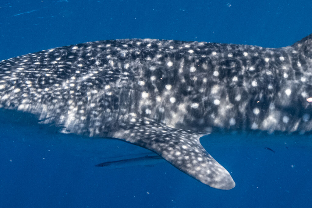 04e8253c-cbd7-43b8-9a14-0659067d5422