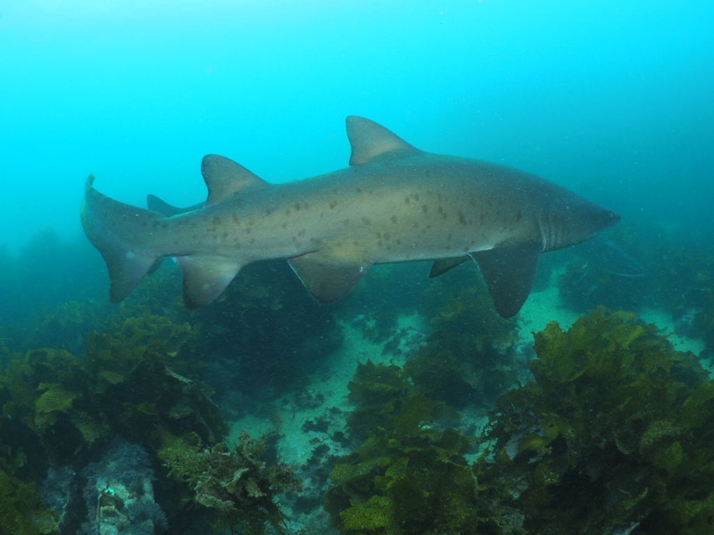 29149c54-b74d-4827-91e2-8a70d8e1d810