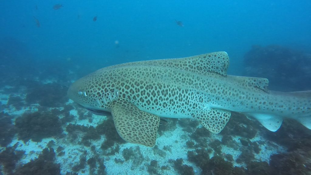 cda41609-d5e5-4d5a-9aa2-d33e225b5cbf